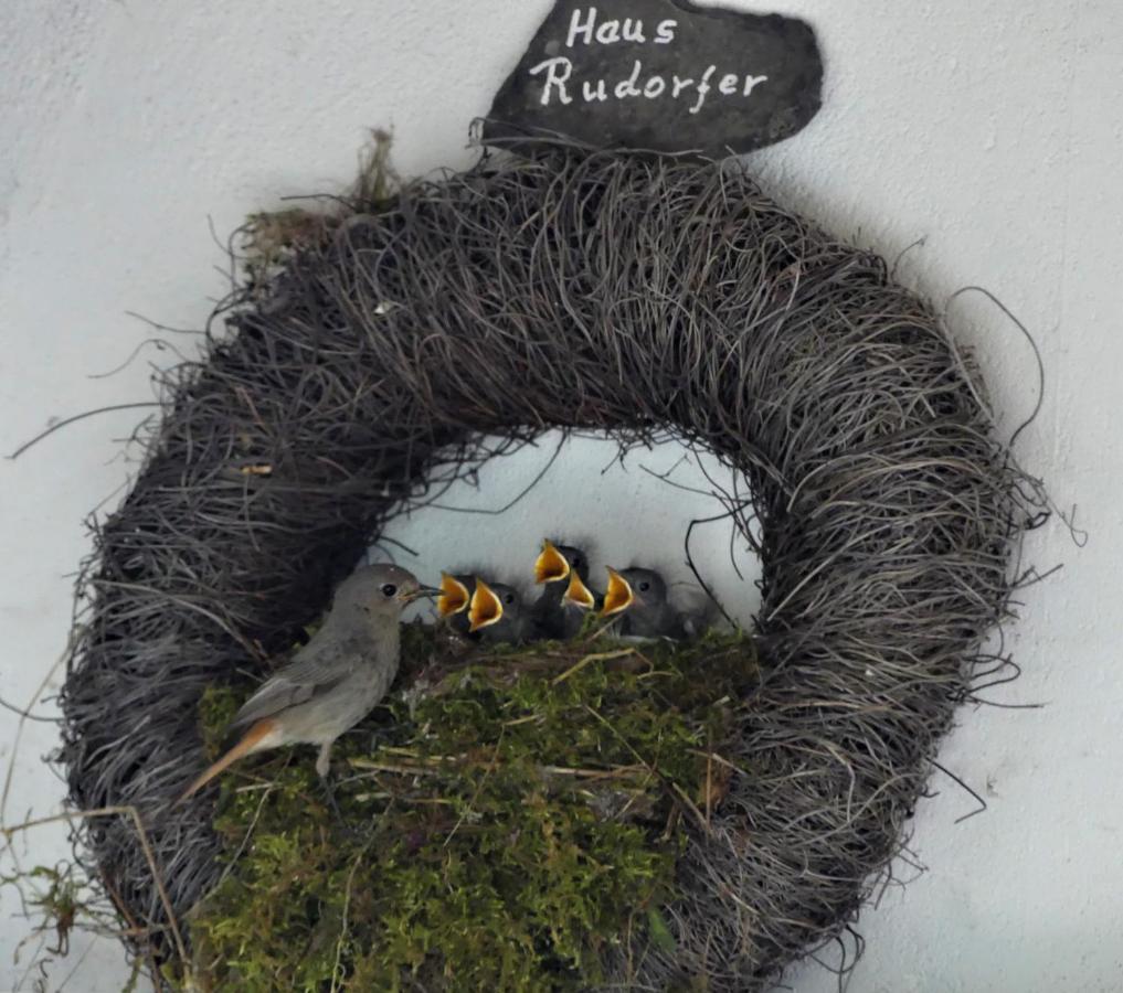 Ferienweingut Rudorfer 호텔 빌비그 외부 사진