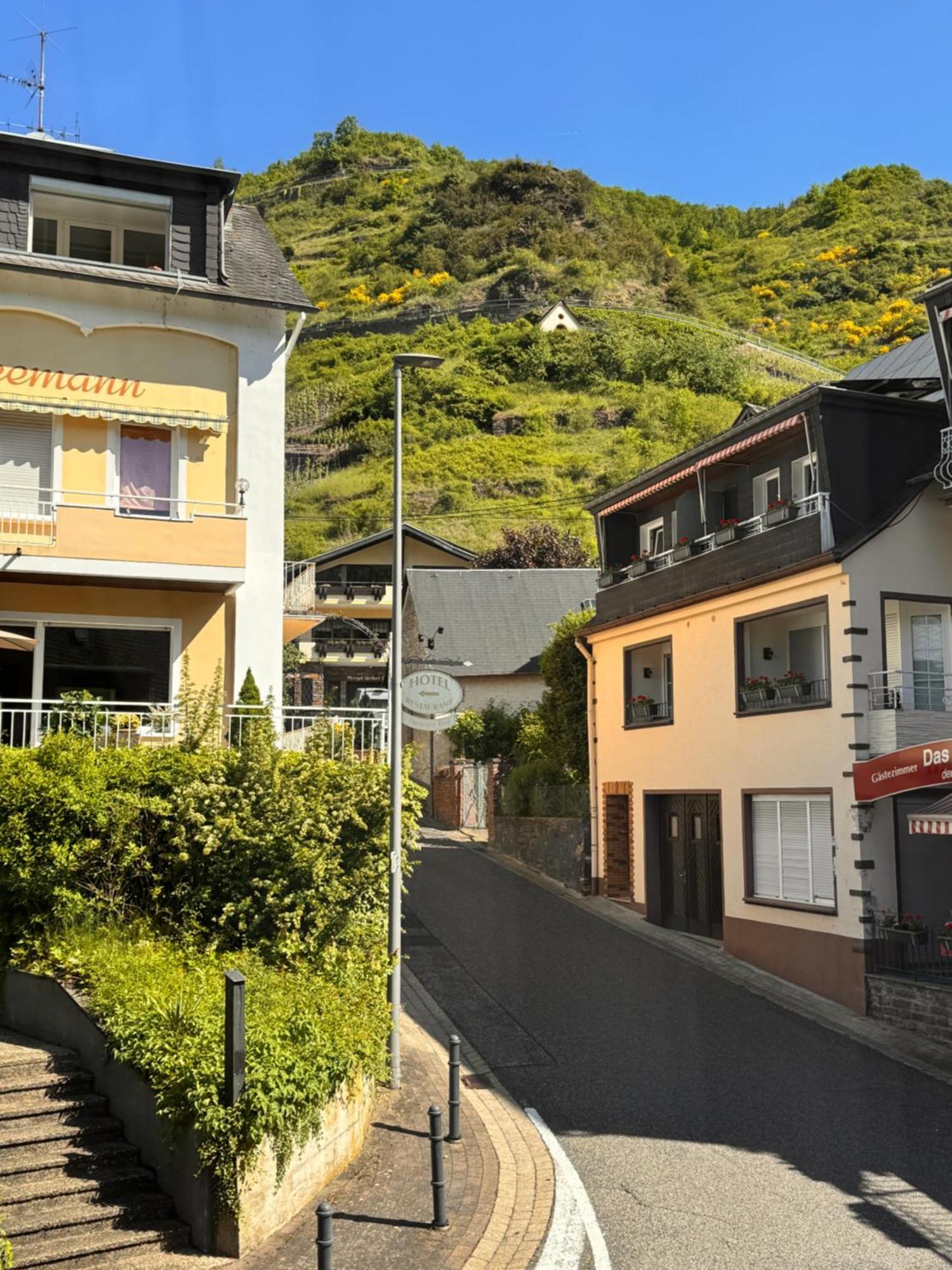 Ferienweingut Rudorfer 호텔 빌비그 객실 사진