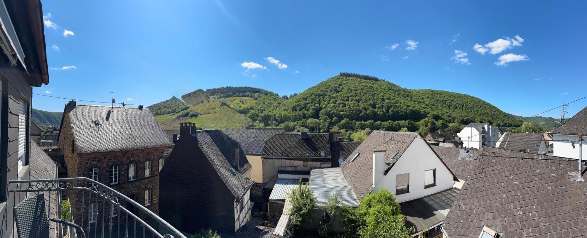 Ferienweingut Rudorfer 호텔 빌비그 객실 사진