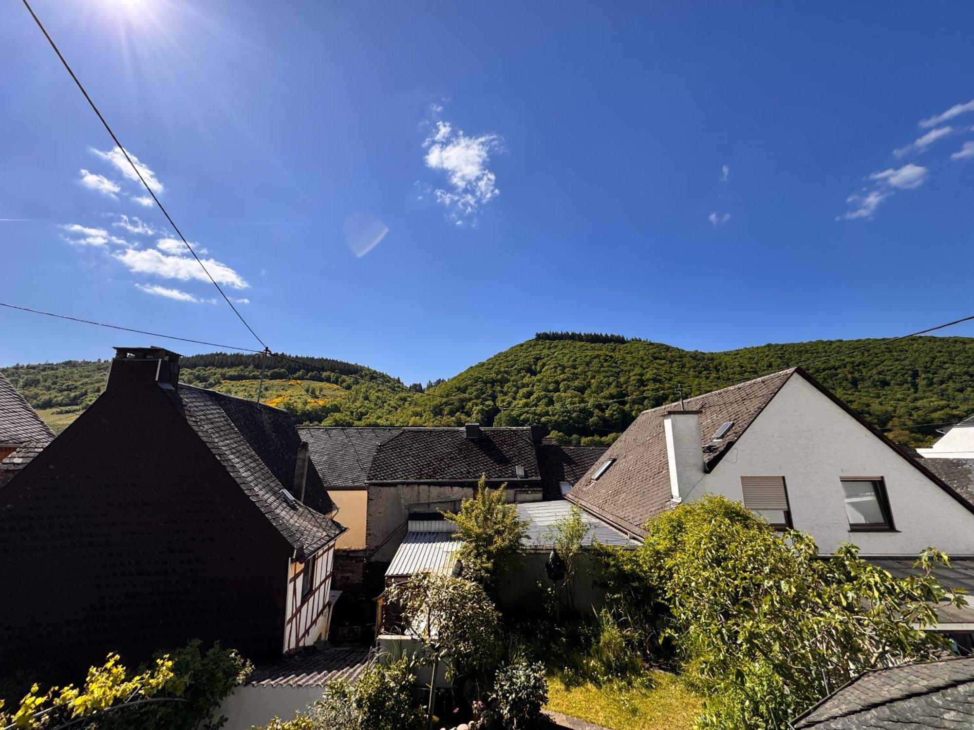 Ferienweingut Rudorfer 호텔 빌비그 객실 사진