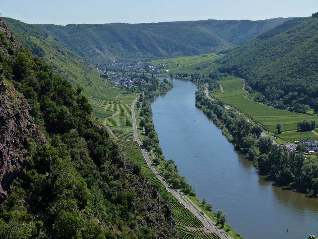Ferienweingut Rudorfer 호텔 빌비그 외부 사진