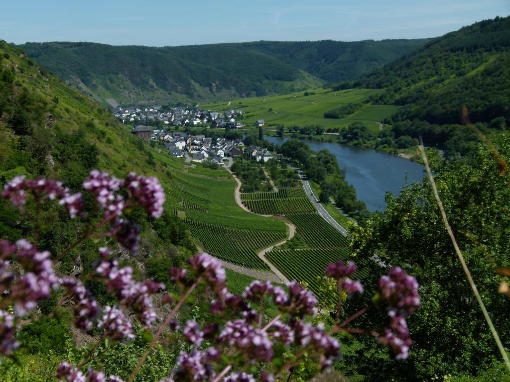 Ferienweingut Rudorfer 호텔 빌비그 외부 사진